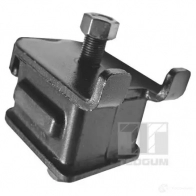 Кронштейн двигателя TEDGUM 1266893421 5908229904091 00671802 5VZ ADK