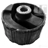Кронштейн двигателя TEDGUM 1437761543 00617922 V7HI 5