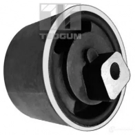 Кронштейн двигателя TEDGUM TK A9JR6 1266894145 00675726