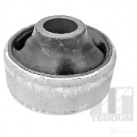 Кронштейн двигателя TEDGUM 4 FWXT 1266894061 00675072