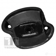 Кронштейн двигателя TEDGUM 1437760757 00410889 R8B8X PG