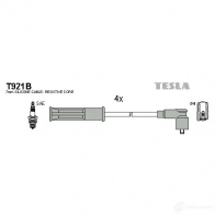 Высоковольтные провода зажигания, комплект TESLA 8595141014136 Renault Kangoo (FW) 2 Фургон 1.6 87 л.с. 2008 – наст. время t921b EO T34
