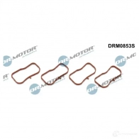 Прокладки впускного коллектора, комплект DR MOTOR AUTOMOTIVE I 54XFA 1437329839 drm0853s