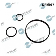 Прокладки масляного фильтра, комплект DR MOTOR AUTOMOTIVE drm067 1437328665 ZVU PWS