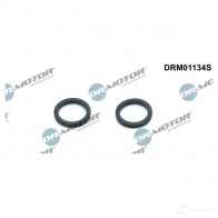 Прокладки масляного фильтра, комплект DR MOTOR AUTOMOTIVE drm01134s 1438027312 ADPY 18