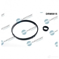 Прокладки масляного фильтра, комплект DR MOTOR AUTOMOTIVE drm0615 1437328668 8G RX8