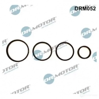 Прокладки масляного фильтра, комплект DR MOTOR AUTOMOTIVE drm052 YRJ 76F 1437328676