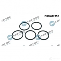 Комплект прокладок водяного насоса DR MOTOR AUTOMOTIVE drm01205s ZAZ5 NN 1438813184