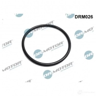 Прокладка впускного коллектора DR MOTOR AUTOMOTIVE drm026 JAR 5J 1437329588