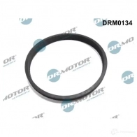 Прокладка впускного коллектора DR MOTOR AUTOMOTIVE drm0134 GTP YD 1437329594
