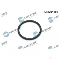Прокладка водяного насоса, помпы DR MOTOR AUTOMOTIVE drm01205 J40 HAI3 1438826009