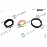 Колечко форсунки DR MOTOR AUTOMOTIVE H1IC C 1437324352 drm017