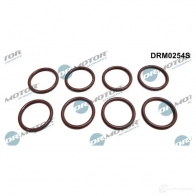 Комплект уплотнительных колец форсунки DR MOTOR AUTOMOTIVE drm0254s 1437321513 P KTN2