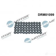 Уплотнительное кольцо болта крышки головки блока цилиндров DR MOTOR AUTOMOTIVE STSJT PR drm01099 1438027091
