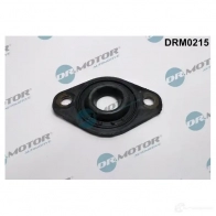 Кольцо форсунки DR MOTOR AUTOMOTIVE 1437322214 65M R20 drm0215