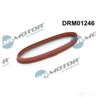 Прокладка турбины DR MOTOR AUTOMOTIVE 6LWVHB V 1439161847 drm01246