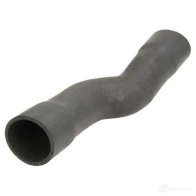 Патрубок интеркулера THERMOTEC dcx068tt XEZL8 SM 1437767270