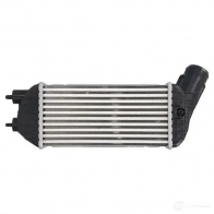 Патрубок интеркулера THERMOTEC Ford C-Max 3WLC 56Y dcg108tt