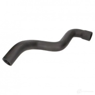 Патрубок интеркулера THERMOTEC XBY8 OEO Fiat Doblo (223) 1 Фургон 1.9 JTD (223ZxE1A) 100 л.с. 2001 – 2025 5901655107937 dcf054tt