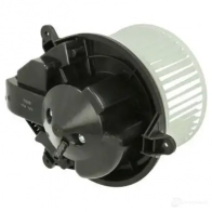 Моторчик печки, вентилятора THERMOTEC 5901655107012 ddp007tt N 0FGK 1264260391 - Изображение 2
