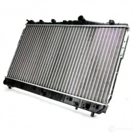 Радиатор охлаждения двигателя THERMOTEC XB 2LC 3388999 5901655046021 d70013tt