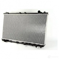 Радиатор охлаждения двигателя THERMOTEC 5900744160686 d72033tt 7U9 DNG 3389079