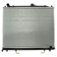 Радиатор охлаждения двигателя THERMOTEC d75012tt I3P 3IDW 3389131 5901655084849