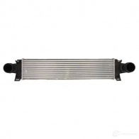 Интеркулер THERMOTEC dav008tt RHB 32DX 1438012173