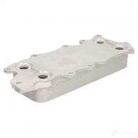 Масляный радиатор двигателя THERMOTEC EGDK E1 1264236349 5901655109634 d4m007tt - Изображение 2