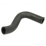 Патрубок радиатора, шланг THERMOTEC A WTMXL 1437779081 dw2029tt