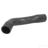 Патрубок радиатора, шланг THERMOTEC dww089tt 5901655105421 1264270005 AB D9HT
