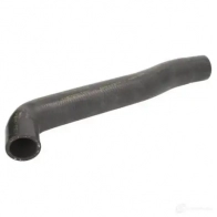 Патрубок радиатора, шланг THERMOTEC 5901655097672 1264270157 Y J8T0X dww112tt