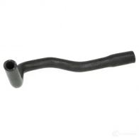 Патрубок радиатора, шланг THERMOTEC TS3K E3K dwf055tt 5901655078305 Fiat Ducato (244) 2 Автобус 2.0 JTD 84 л.с. 2002 – 2025