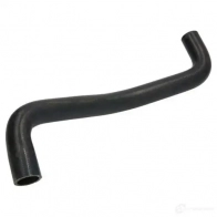 Патрубок радиатора, шланг THERMOTEC dw1008tt G1QH P 1437776533