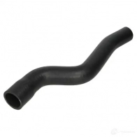 Патрубок радиатора, шланг THERMOTEC dwp021tt ER 65EN 5901655079456 3391617