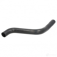 Патрубок радиатора, шланг THERMOTEC 5901655104240 C Z8V0Q6 dwr214tt 1264269181