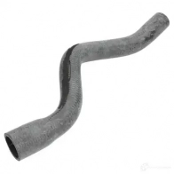 Патрубок радиатора, шланг THERMOTEC Citroen Jumpy 2 (VF7) 2007 – 2016 5901655079418 dwc061tt 4 IRIV