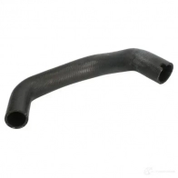 Патрубок радиатора, шланг THERMOTEC 5901655136067 1264268977 8 ZE3UM dwr148tt