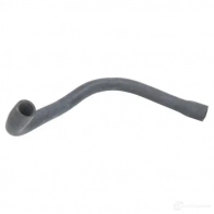 Патрубок радиатора, шланг THERMOTEC TACY8I Q dwb017tt 5901655106220 1264264103