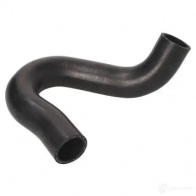 Патрубок радиатора, шланг THERMOTEC dww125tt Audi 100 (C4) 4 1990 – 1994 5901655099027 I HY52