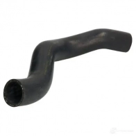 Патрубок радиатора, шланг THERMOTEC 1437778471 BNFR W dw1010tt
