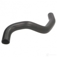 Патрубок радиатора, шланг THERMOTEC 4N09 8 5901655080339 3391146 dw0517tt - Изображение 2