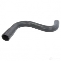 Патрубок радиатора, шланг THERMOTEC dwm094tt X EP9MDI 1264267681 5901655100488