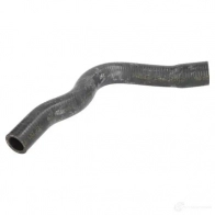 Патрубок радиатора, шланг THERMOTEC QK50T O dwm088tt 5901655103113 1264267651