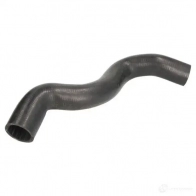 Патрубок радиатора, шланг THERMOTEC 5901655104370 DUGOF LN dwr228tt 1264269217