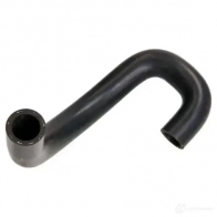 Патрубок радиатора, шланг THERMOTEC dwx231tt 1437776189 B3GV Q