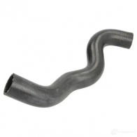 Патрубок радиатора, шланг THERMOTEC dw1004tt O3 GJEY 1437779218