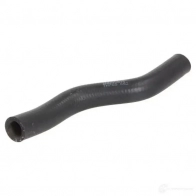 Патрубок радиатора, шланг THERMOTEC HH5L C dww325tt 1438011817
