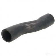 Патрубок радиатора, шланг THERMOTEC 1424238778 PB0 QDI5 dwb180tt
