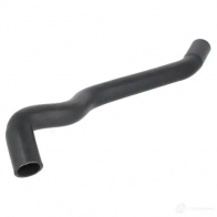 Патрубок радиатора, шланг THERMOTEC EH BYA0 5901655079531 dwg014tt Ford Transit Connect 1 (C170) 2002 – 2020